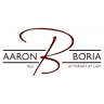 Boria Law - Criminal Defense Attorney