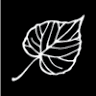 The Leaf Restaurant