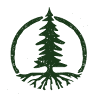 The Link Cannabis Company- Longview