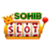 Montage