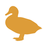 The Mucky Duck Bar
