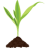 The Mulch Centre