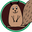 The Nut Garden