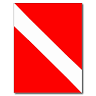 The Old Diver