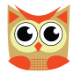 The Owl, Morning 'til Night
