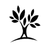 Sk Nursery