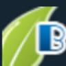 Brian's Repair, Inc
