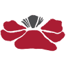 The Red Poppy