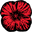 The Red Poppy