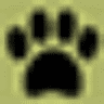 The Savvy Dog