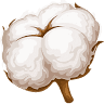 Cottonport City Of