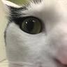 Overland Park Veterinary Center