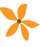The Waxing Company