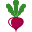 The Weekly Juicery