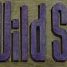 Wild Side Salon