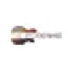 The Woodshed Guitars