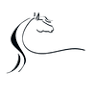 Third Coast Equine Veterinary Services, LLC