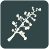 Remedial Massage Thirroul, Wollongong, Emma Kelly