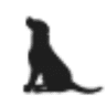 Thornton Animal Hospital