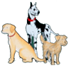 Three Dogs Tavern