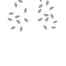 Three Oaks & a Pine RV Park
