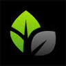 Thrive Church - Torrington