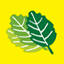 Thulasi Pharmacies India Pvt Ltd