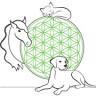 Ganzheitliche Tierarztpraxis Mag. med. vet. Christine Pichler