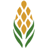 Tierra Greda Acopio