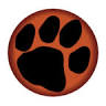 Tiger Scaffold
