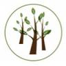 Tiny Green Trees Nature Based Childcare and Forest School