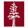 Titan Quality Power Services, LLC