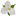 Trillium Lakelands District School Board