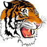 Tokay High School