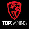 Topdata