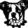 Top Dog Painting & Remodeling