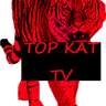 Top Kat Electronics