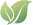 Topo Floresta