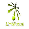 Umbilucus - Ingeniería técnica de topografía en Benalmádena, Málaga