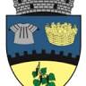 Topoloveni
