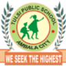 Tulsi Public School Ambala City