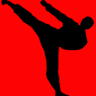 Traditional Martial Arts Center