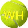 Transilvania-tenis.club