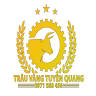 Trâu Vàng Tuyên Quang