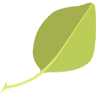 Tree of Life International Charter School