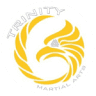 Trinity Martial Arts Kalamazoo