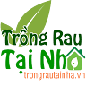 CÔNG TY TNHH AN NHIÊN HÀ NỘI