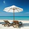 Tropical Siesta
