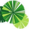 Tropic Realty