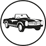 TS classic cars & parts